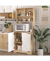 Freestanding Pantry Cabinet with 2 Doors and 3 Shelves