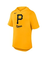 Nike Men's Gold Pittsburgh Pirates Tri-Blend Performance Hoodie T-Shirt