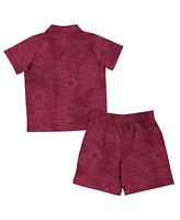 Colosseum Toddler 2-Piece Garnet Florida State Seminoles Fern Champ Shirt and Shorts Set