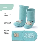 The Peanutshell Baby Boys 12pk Cotton Socks