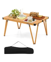 Folding Camping Table Picnic with Storage Bag and Waterproof Desktop