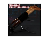 Roman Chair Back Extension, Dual Adjustable Back Extension Bench for Home Gym, Adjustable Back Exercise Machine Weight Capacity 330 Lbs, for Core Work