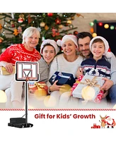 Portable Basketball Hoop Adjustable Basketball Goal System
