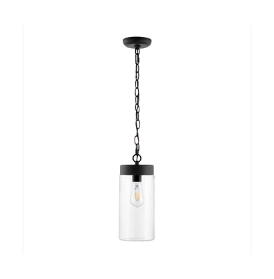 Lianne 5.7" Outdoor Pendant