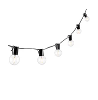 Huron Led Outdoor String Light