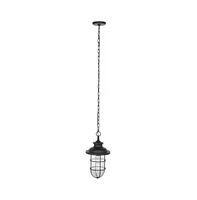 Adelle 9" Outdoor Pendant