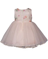 Bonnie Baby Girls Embroidered Ballerina Dress