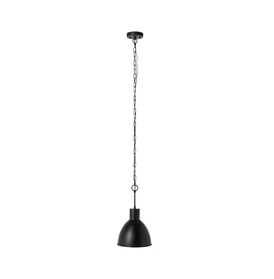 Priestly 9.84" Outdoor Pendant