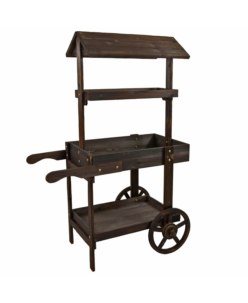 Flower Cart Display Stand with Wheels - Dessert Candy Market 2 Shelves Fir Wood White