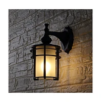 Adisyn 8" Outdoor Sconce