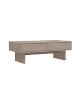 Manhattan Comfort 47.2" Wood Ella Modern 2-Full Extension Drawer Coffee Table