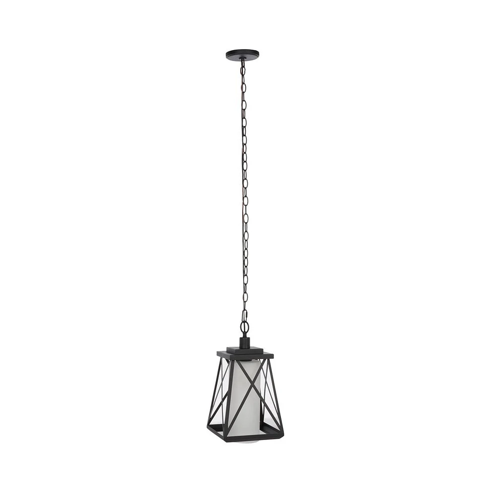 Braith 9.1" Outdoor Pendant