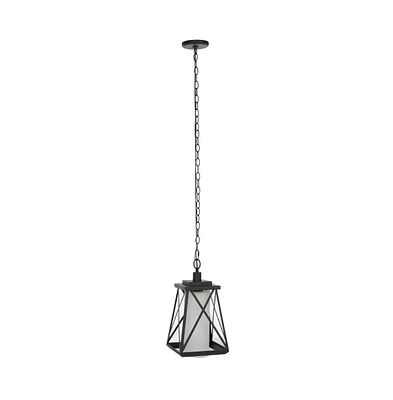 Braith 9.1" Outdoor Pendant