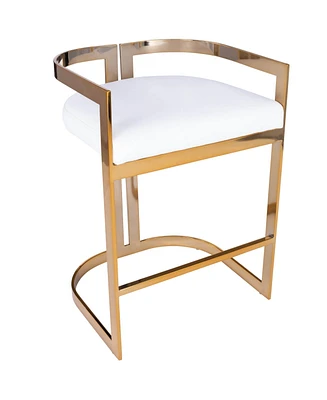 Industrial Counter Height Bar Chair with Iron Frame and Low Back