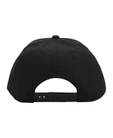 The Legend of Zelda Men's Zelda Tears of the Kingdom Pre-Curved Bill Snapback