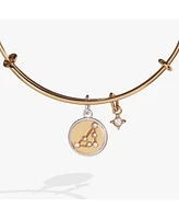 Zodiac Bangle Bracelet Capricorn
