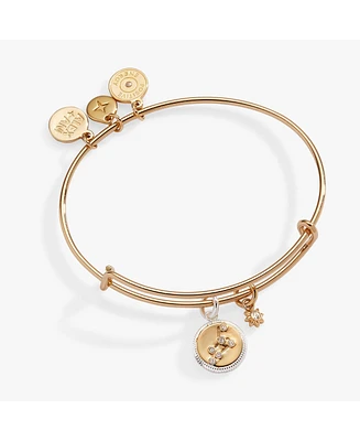 Zodiac Bangle Bracelet Leo