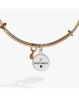 Zodiac Bangle Bracelet Sagittarius