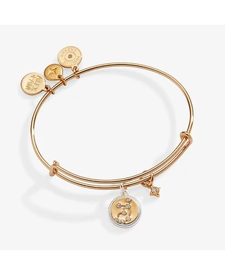 Zodiac Bangle Bracelet Virgo