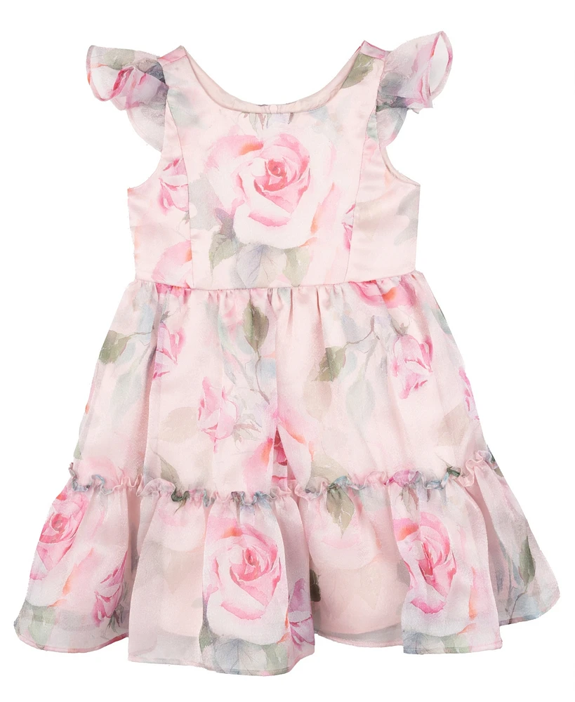 Rare Editions Toddler and Little Girls Floral Organza Party Dress