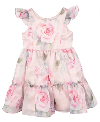 Rare Editions Toddler and Little Girls Floral Organza Party Dress