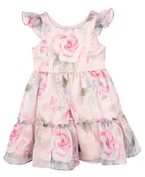 Rare Editions Toddler and Little Girls Floral Organza Party Dress