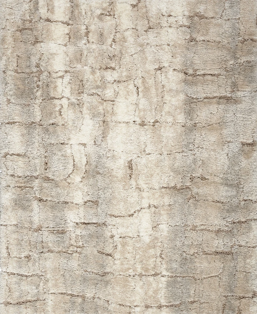 Nourison Home Dreamy Shag DRS09 5'3"x7'3" Area Rug