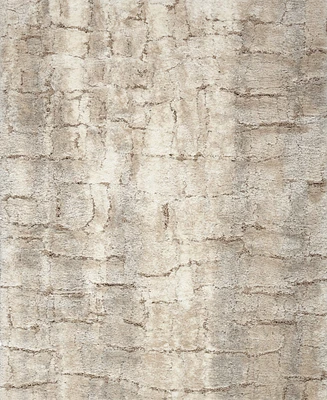 Nourison Home Dreamy Shag DRS09 5'3"x7'3" Area Rug