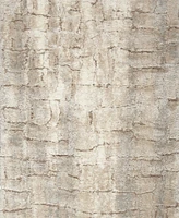 Nourison Home Dreamy Shag DRS09 5'3"x7'3" Area Rug