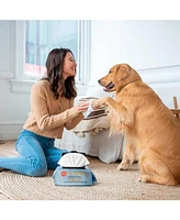 Precious Tails 110pc. Pet Wipes for Dog Cleaning Deodorizing Paws, Butt, Body, Extra Gentle with Aloe & Vit. E