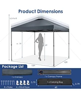 10 x 10 Feet Foldable Outdoor Instant Pop-up Canopy with Carry Bag