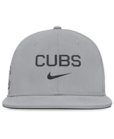 Nike Men's Gray Chicago Cubs True Performance Fitted Hat
