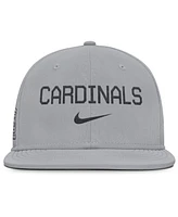 Nike Men's Gray St. Louis Cardinals True Performance Fitted Hat