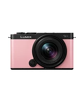 Panasonic Lumix S9 Mirrorless Camera with Lumix S 18-40mm f/4.5-6.3 Lens, Pink, Bundle with Professional 1667x 64GB Uhs-ii Sdxc Memory Card, Alpine 12