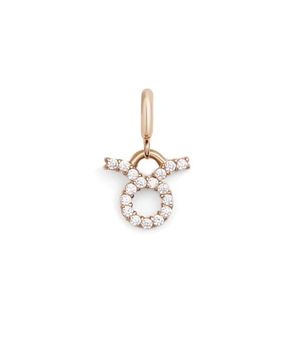 Daniel Wellington Women's Rose Gold Tone Stainless-Steel Watch Charm