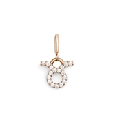 Daniel Wellington Women's Rose Gold Tone Stainless-Steel Watch Charm