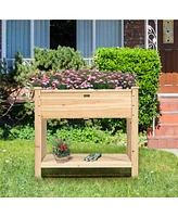 Raised Garden Elevated Wood Planter Box Stand