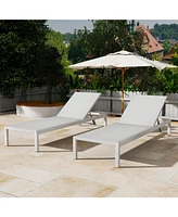 Aluminum Outdoor Chaise Lounge Set (2)