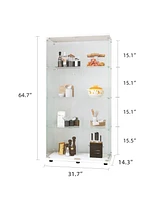 Two-door Glass Display Cabinet 4 Shelves with Door, Floor Standing Curio Bookshelf for Living Room Bedroom Office, 64.7" 31.7" 14.3", W