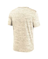 Nike Men's Cream Los Angeles Dodgers 2025 City Connect Authentic Collection Velocity Performance T-Shirt