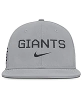 Nike Men's Gray San Francisco Giants True Performance Fitted Hat