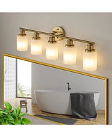 5-Light Golden Bathroom Vanity Light Fixture, Frosted Glass Shades, Modern Wall Mounted Lighting (No Bulbs)