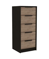 Five Drawer Standard Chest for Bedroom Storage and Clothes Organization