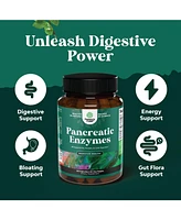Pancreatic Digestive | Enzymes for Digestive Health, Protease Amylase & Lipase Enzymes for Digestion | 120ct