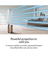 Dyson Purifier Cool PC2 De-NOx
