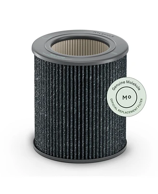 Molekule Peco-hepa Tri-Powered Filter for Air Mini and Air Mini +