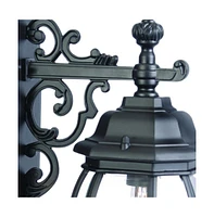 Hanging Glass Globe Wall Light for Bedroom Hallway or Living Room