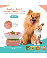 P.t. Supply Co. Strawberry Shaped Stoneware Elevated Pet Bowl, Raised Ceramic Food & Water Dish for Dogs and Cats