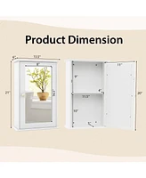 Bathroom Wall Cabinet with Single Mirror Door