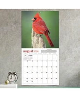 2026 Backyard Birds Wall Calendar